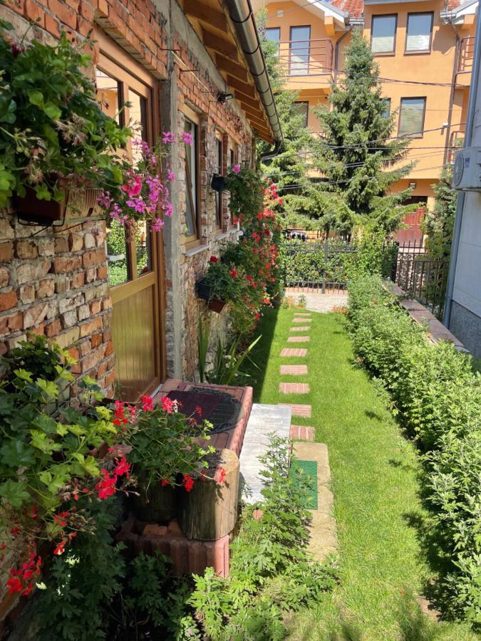 Flower House In The City Center! Приштина Экстерьер фото